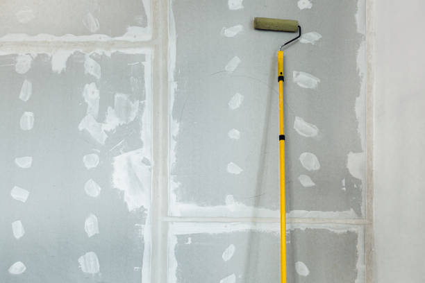 Professional Dry wall and painting in Good Hope, CA